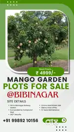 East Facing Farm Land Plots For Sale in Bibinagar