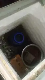 Deep freezer