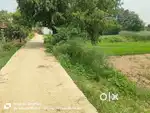 Hata bazar Pajupar NH29 four lines se matra 270 meter ander plot bikaw