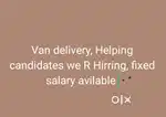 Van delivery boys