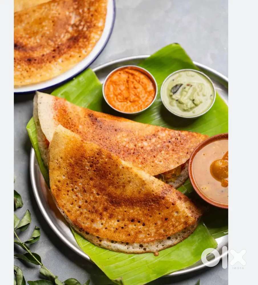 Dosa / uthapa/ spounge dosa maker (south indian chef)