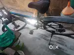 Steel Cat cycle