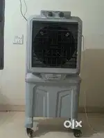 1 month old cooler