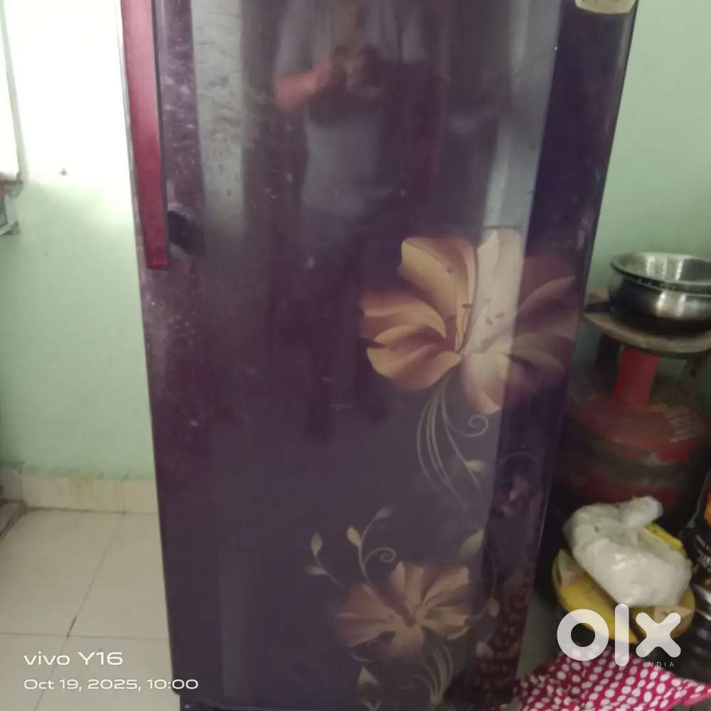Godrej Edge pro refrigerator 165 Ltr for sell