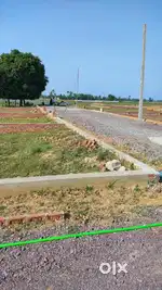 लखनऊ सुल्तानपुर रोड साहू  सिटी से 2km पहले प्लॉट आउटर-रिंग से 700 mtr