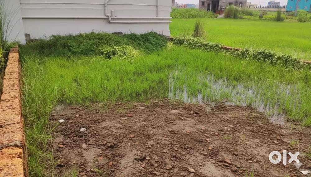 Urgent sale independent plot at sundarpada