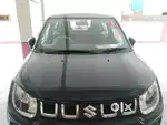 Ignis sigma