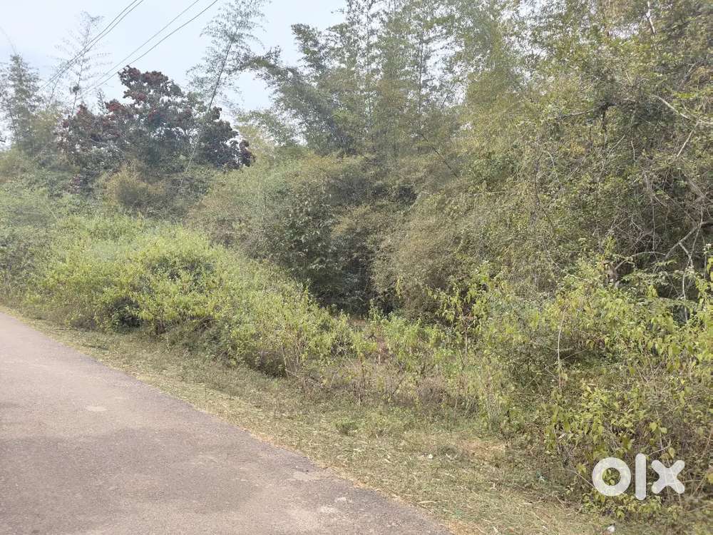 NA Plots Bethoda Ponda