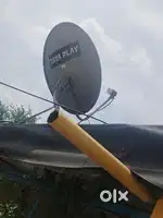 Dth for sale