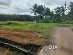Muvattupuzha super plot for sale