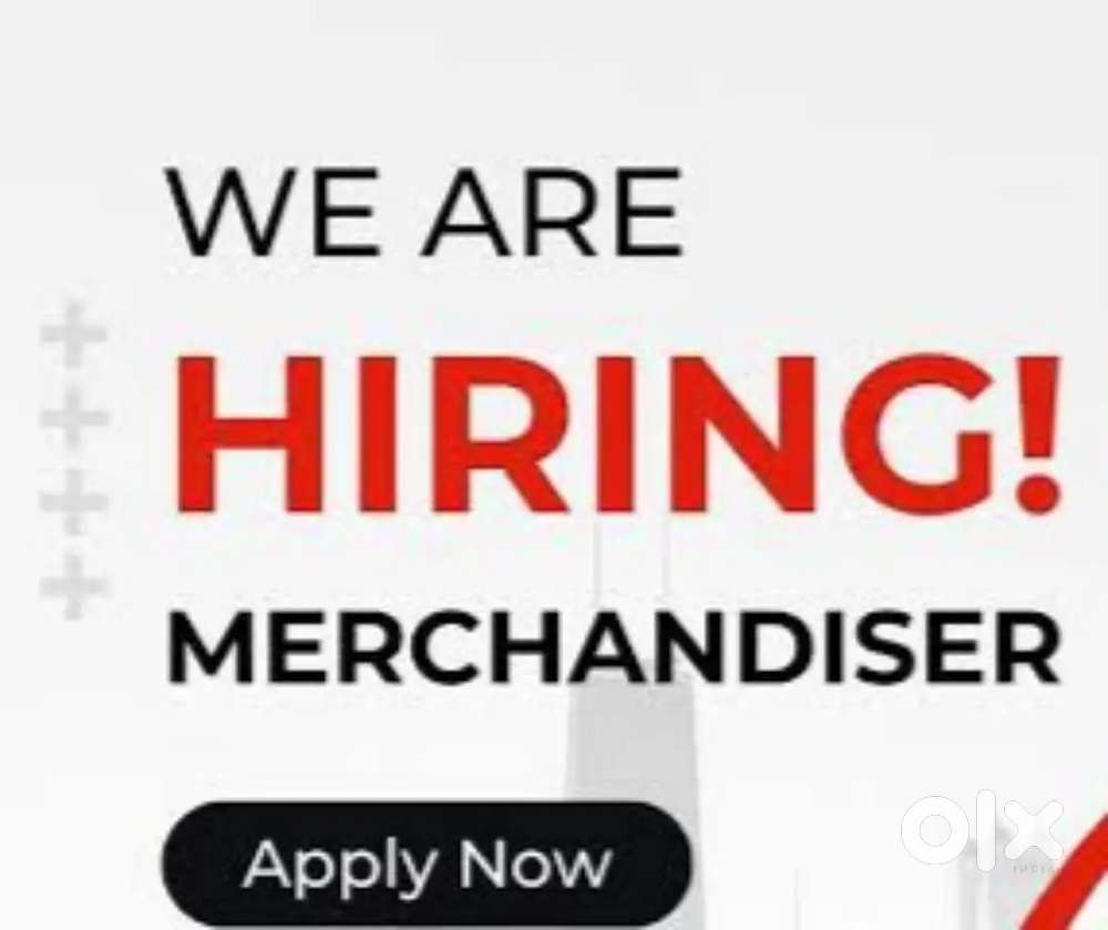 SALES MERCHANDISER FOR REPUTED ICE CREAM COMPANY