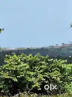 Layout Plot for sale in Kolambe, 1km from kaikamba market
