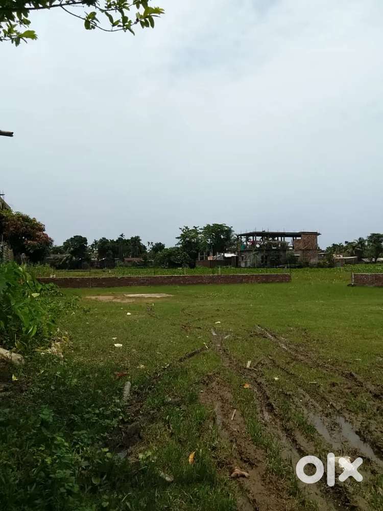 I need money urgently