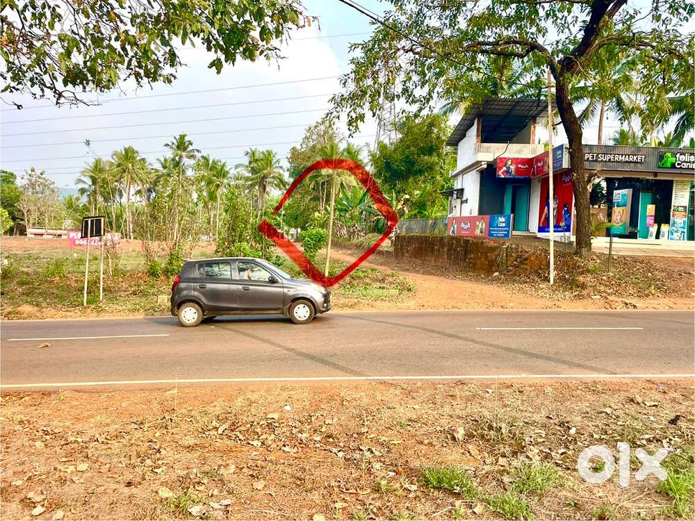 CHERUPUZHA PAYYANNUR MAIN ROAD PLOT 12 CENT