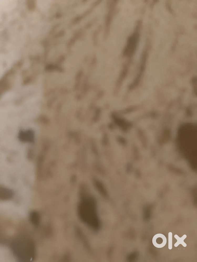 Looking for Captains Waiters Housekeeping and Helpers