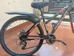 Bicycle with Gears