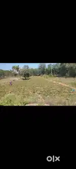 Land Near tupran