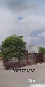 Want sell this plot