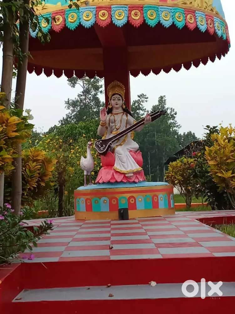 Educational Institute Setup