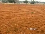 Agriculture land / agricultural land / farm land / farm house