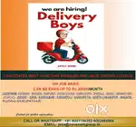 Hiring -Delivery Boy