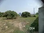 Plot sell in Guljarpur Banki kaladhungi