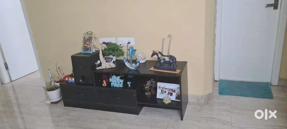 TV Unit and Bench