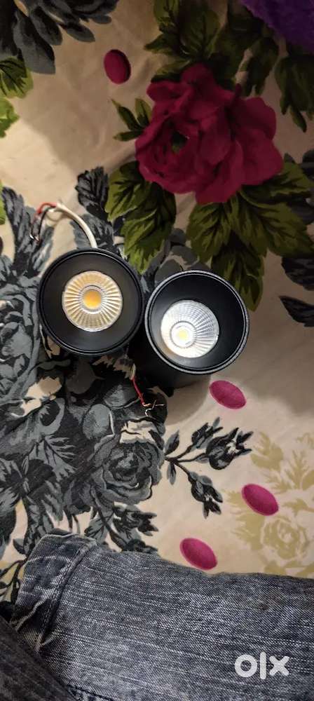 Strip light and other light