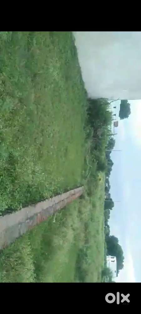 24×50=1200sqft ka plot panchahatiya self owner