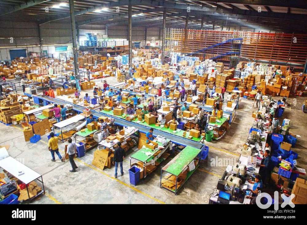 LOOKING FOR FRESHERS AND EXPERIENCED CANDIDATES IN WAREHOUSE COMPANY