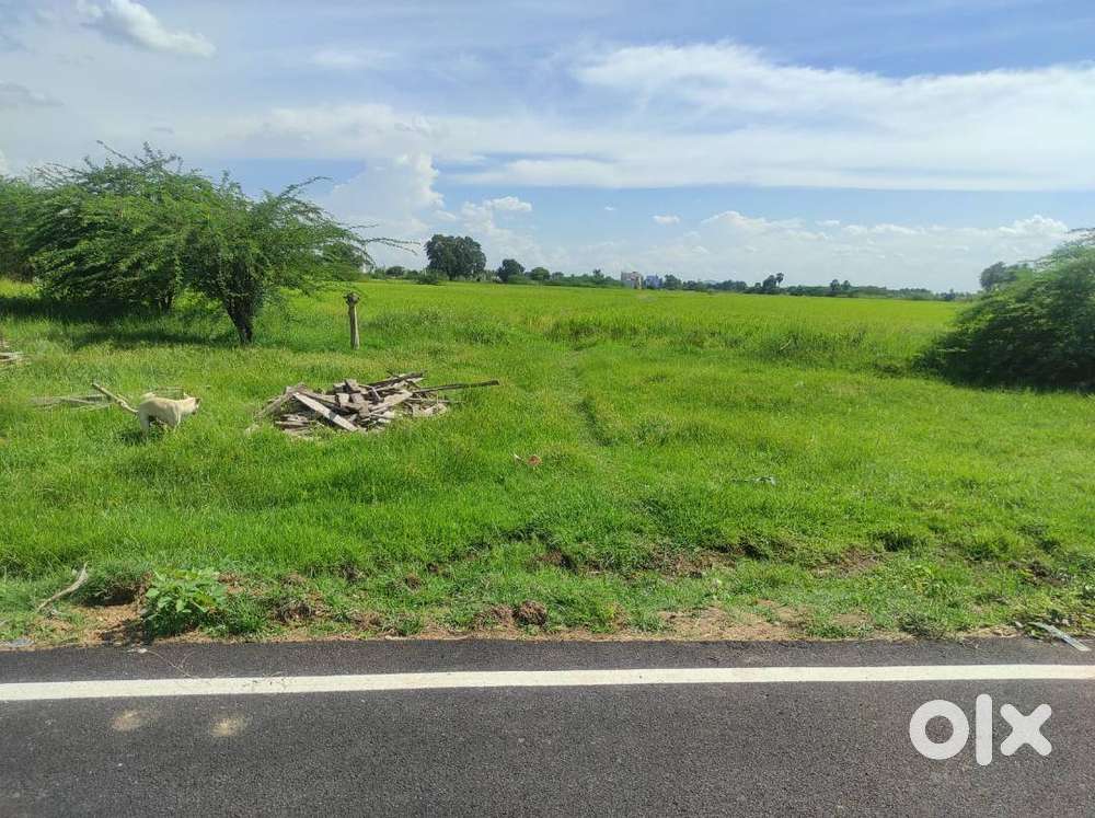 Residential Plot