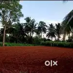 Land / agriculture land