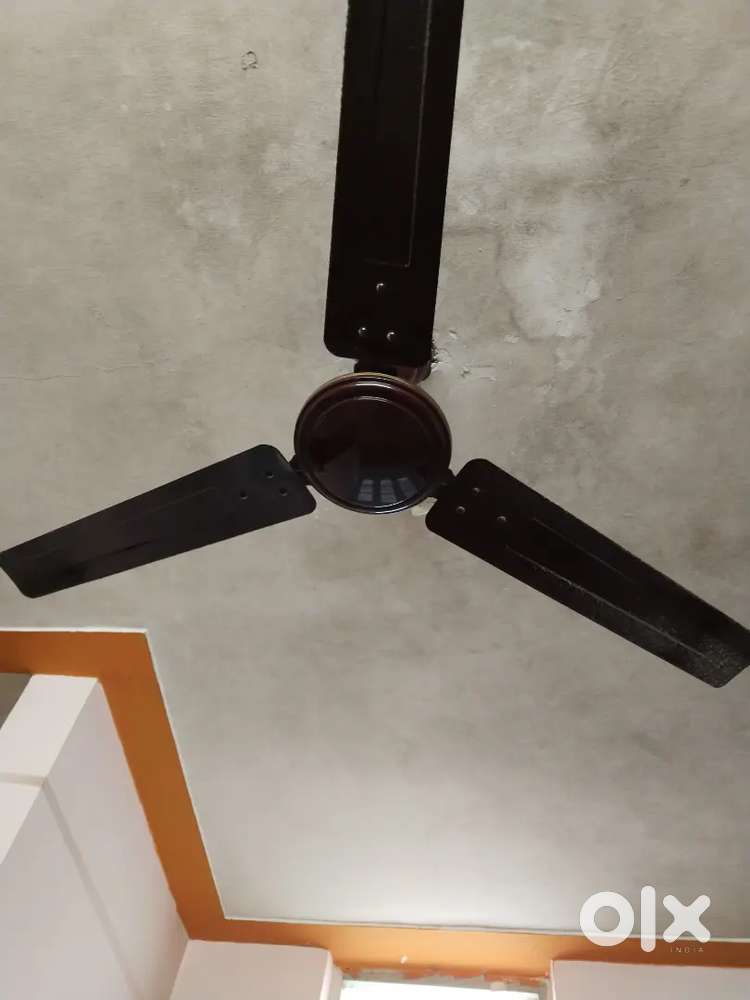 Ceiling fan