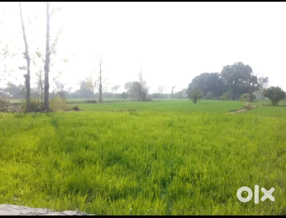 Prime 60 Kanal (7.5 Acre) Agricultural Land for Sale