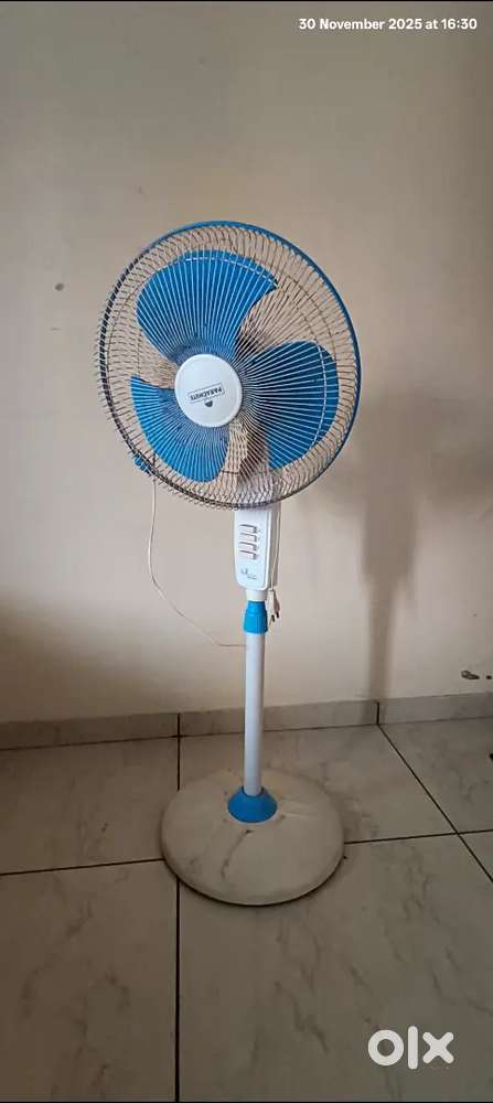 Pedestal fan
