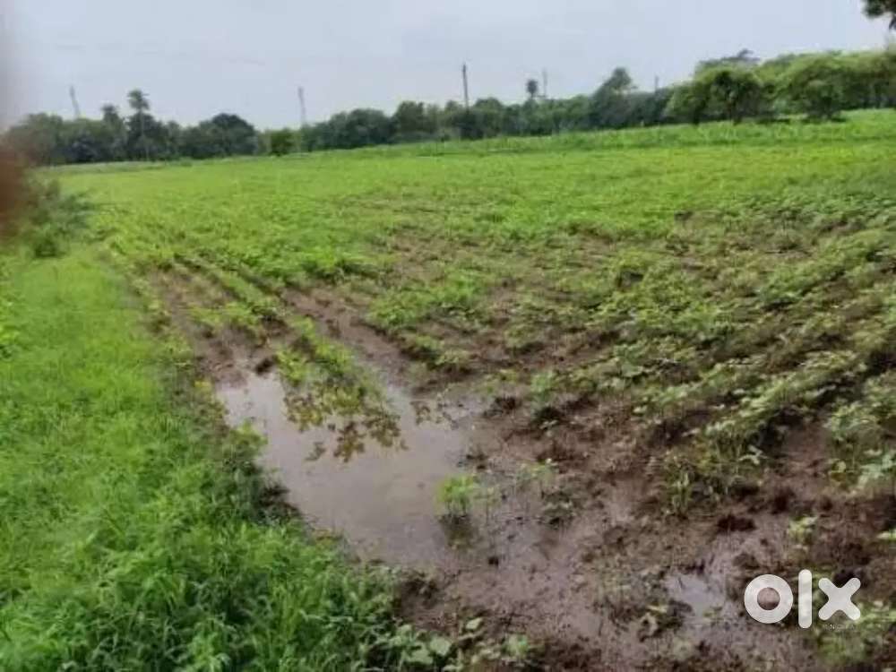 Neemuch Singoli Road