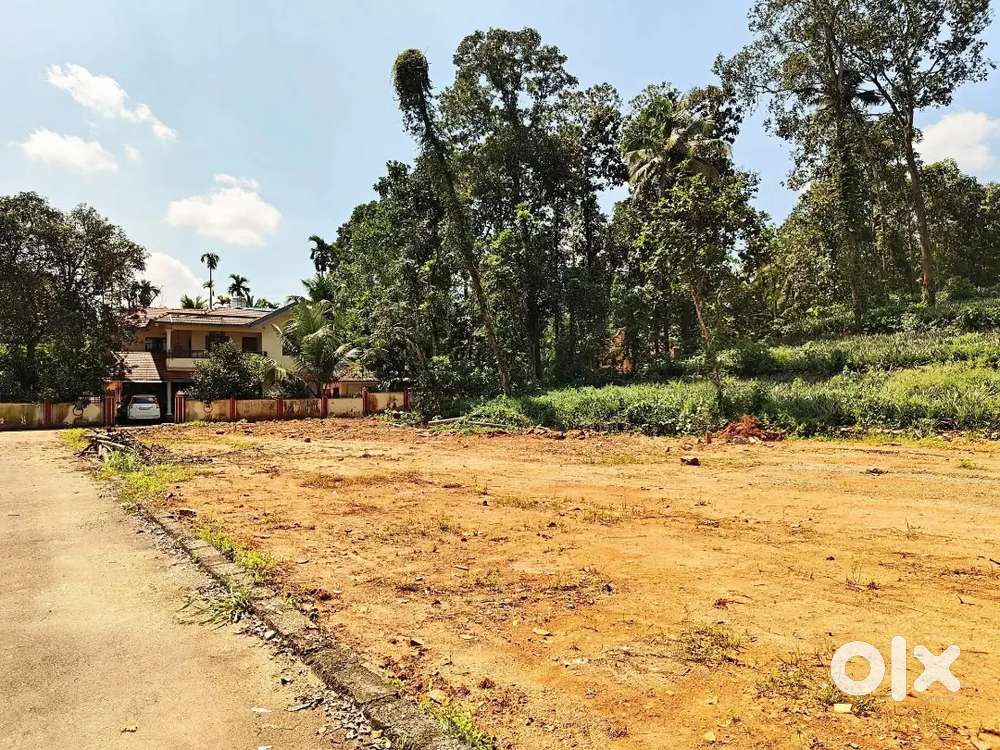 തൊടുപുഴ ടൗണിൽ ഹൗസ് പ്ലോട്ട്