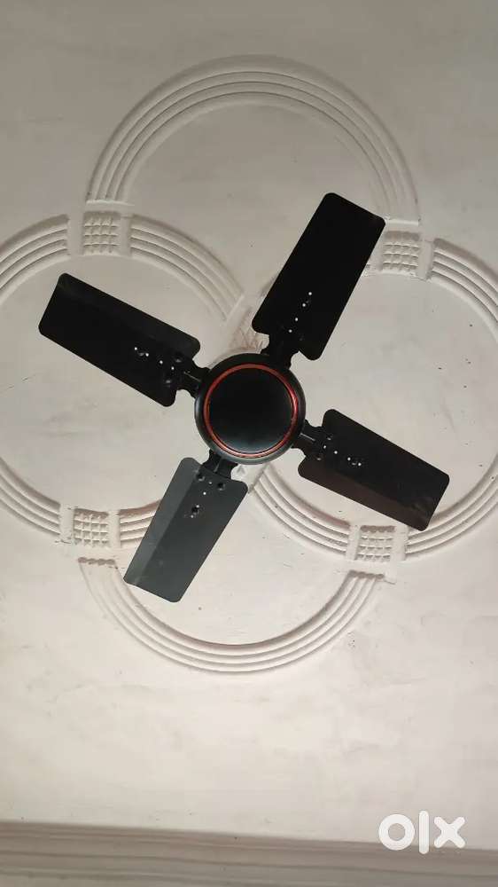 Celing Fan