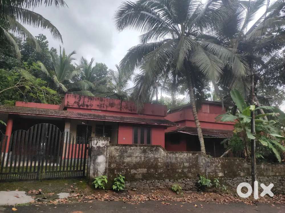 RENT HOUSE AT KULAPPULLY