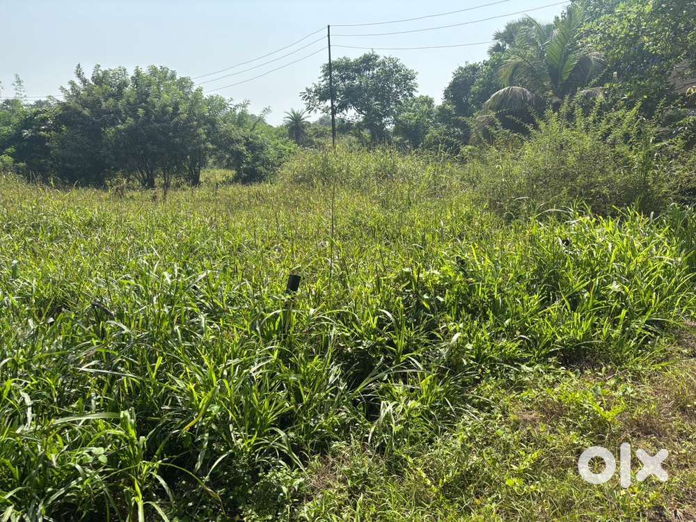 3 gunta plot vanvati uran navi mumbai