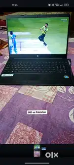 Windows 11