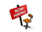 Req urgent experience freelancing interior designer
