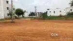 Panneer madai
