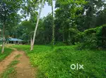 76 cent land at poothrikka near kolenchery suitable for farming(loan )