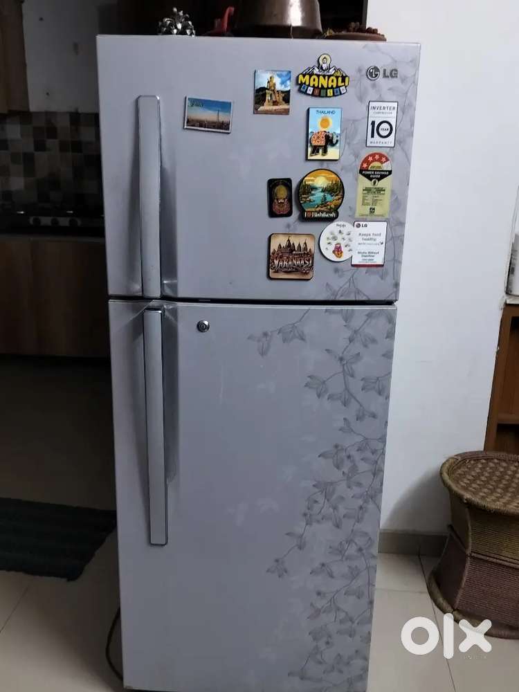 Grey colour 4 star LG fridge