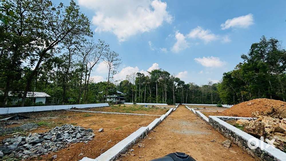 Residential Plot for Sale Near Perumbavoor,Kurupampady