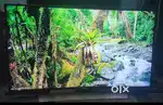 SAMSUNG 55 INCH CAVRD 4K LED TV