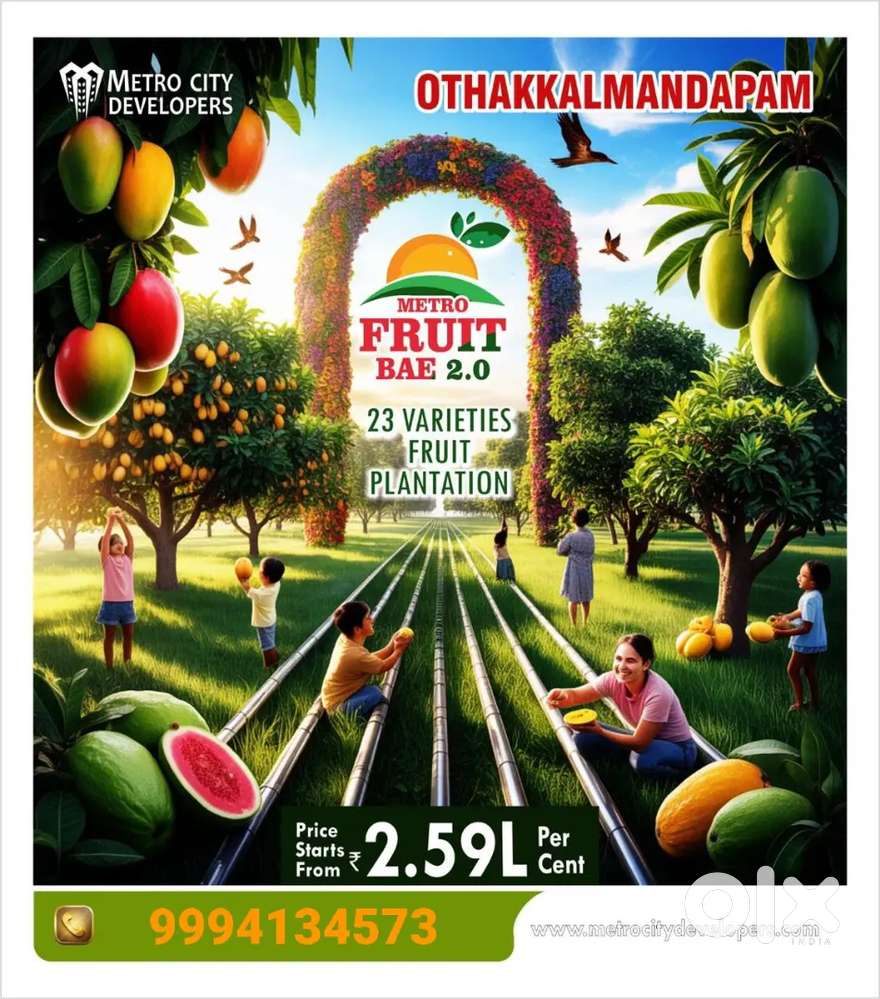 21 cents FRUITS FARM LAND FOR SALE