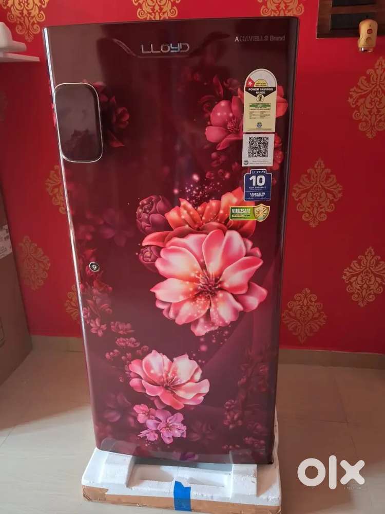 This fridge is new and i dose not use it
