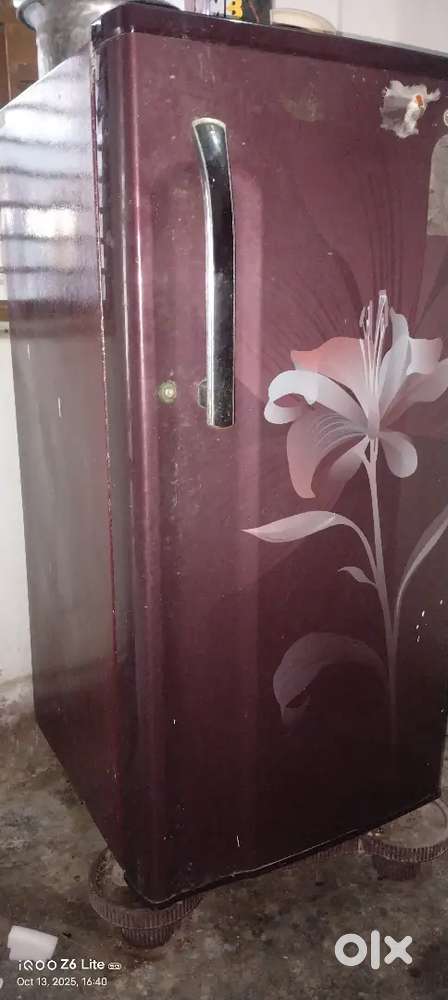 Lg fridge model: B205KSLN